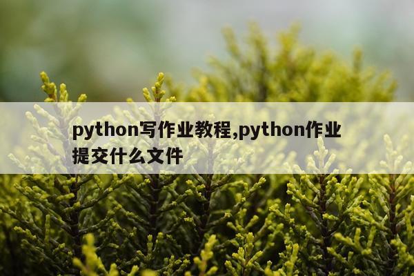 python写作业教程,python作业提交什么文件
