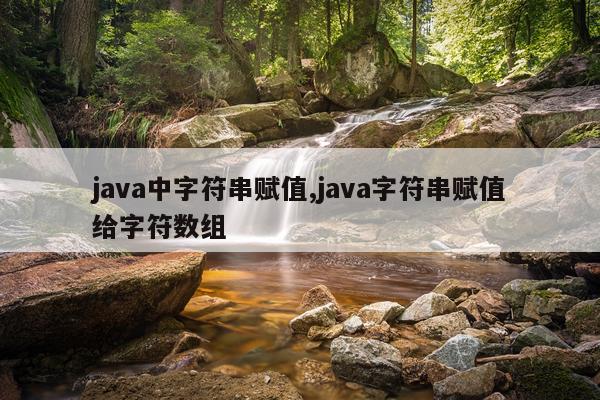 java中字符串赋值,java字符串赋值给字符数组