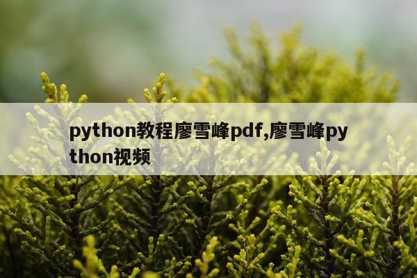 python教程廖雪峰pdf,廖雪峰python视频