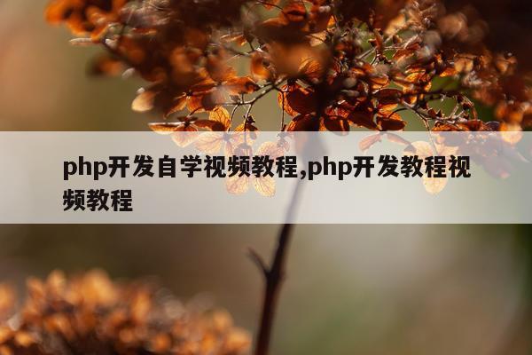 php开发自学视频教程,php开发教程视频教程