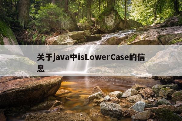 关于java中isLowerCase的信息