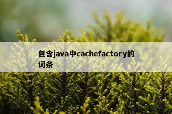 包含java中cachefactory的词条