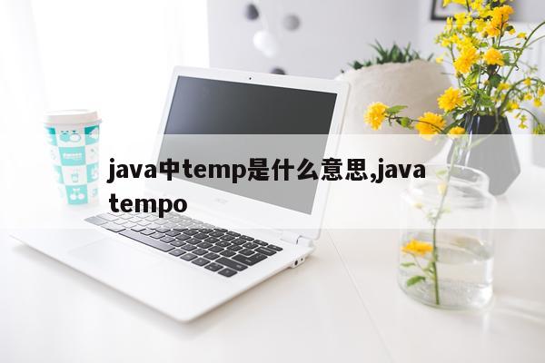 java中temp是什么意思,java tempo