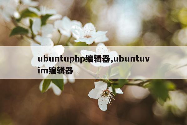 ubuntuphp编辑器,ubuntuvim编辑器