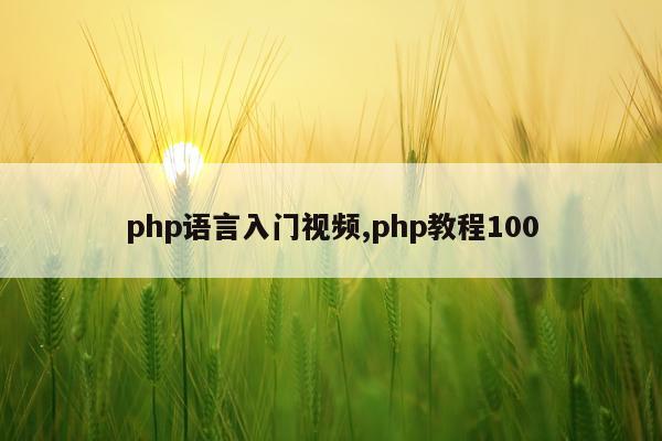 php语言入门视频,php教程100