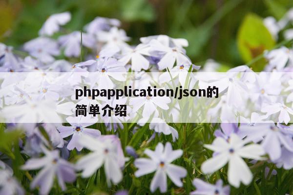 phpapplication/json的简单介绍
