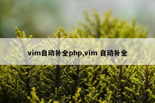 vim自动补全php,vim 自动补全