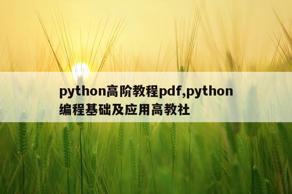python高阶教程pdf,python编程基础及应用高教社