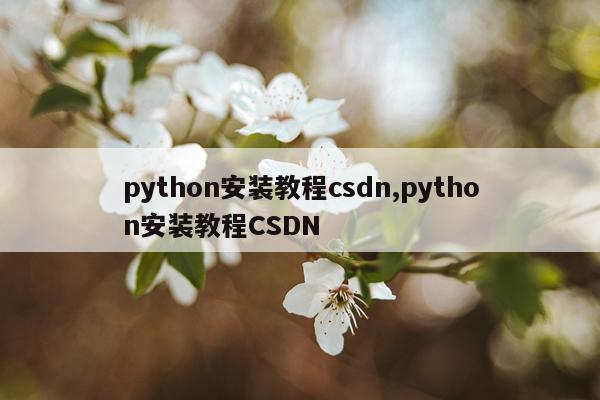 python安装教程csdn,python安装教程CSDN