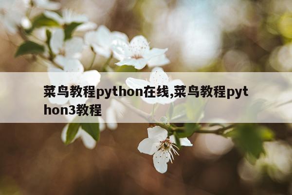 菜鸟教程python在线,菜鸟教程python3教程