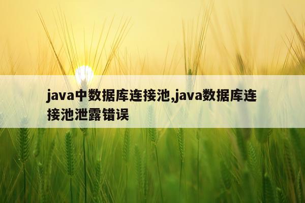 java中数据库连接池,java数据库连接池泄露错误