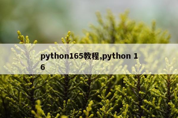 python165教程,python 16