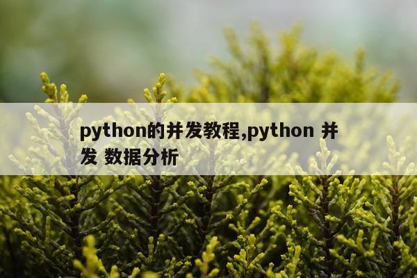 python的并发教程,python 并发 数据分析