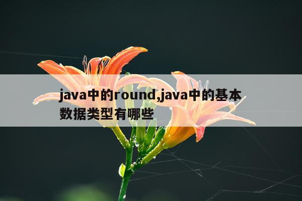 java中的round,java中的基本数据类型有哪些