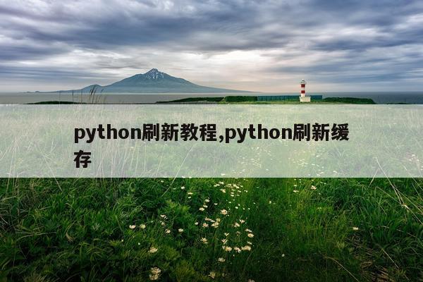 python刷新教程,python刷新缓存