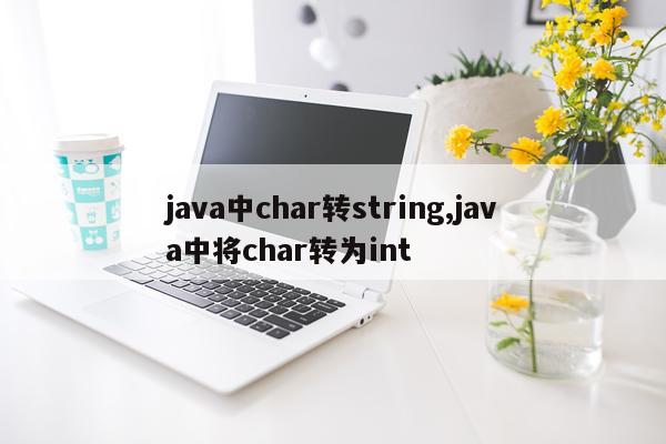 java中char转string,java中将char转为int