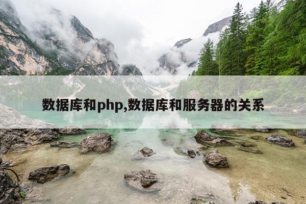 数据库和php,数据库和服务器的关系