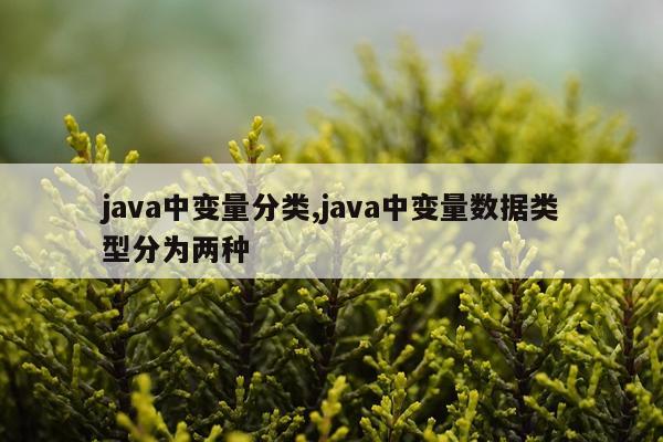 java中变量分类,java中变量数据类型分为两种