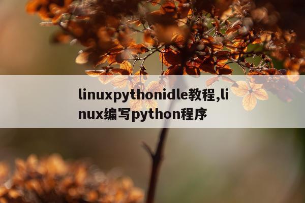 linuxpythonidle教程,linux编写python程序