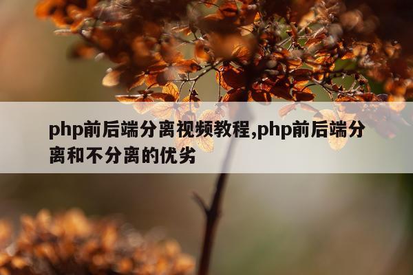 php前后端分离视频教程,php前后端分离和不分离的优劣