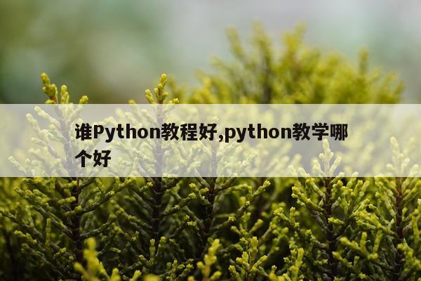 谁Python教程好,python教学哪个好