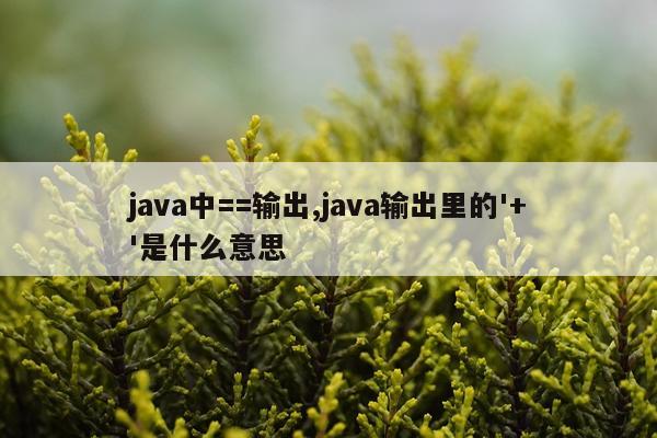 java中==输出,java输出里的'+'是什么意思