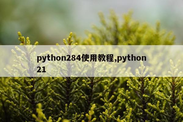 python284使用教程,python21