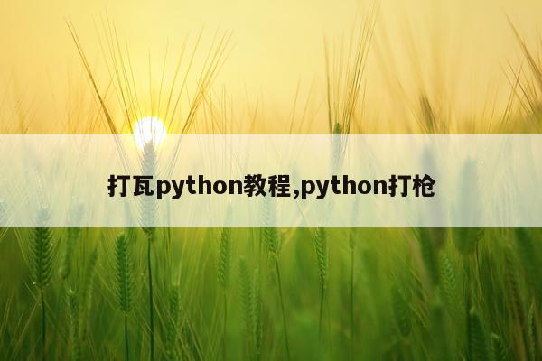 打瓦python教程,python打枪