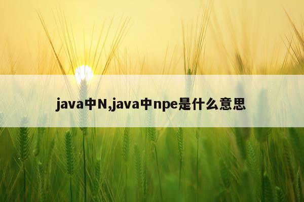 java中N,java中npe是什么意思