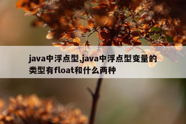 java中浮点型,java中浮点型变量的类型有float和什么两种