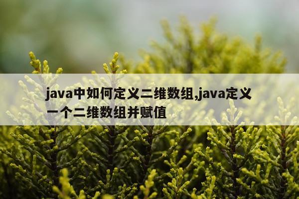 java中如何定义二维数组,java定义一个二维数组并赋值