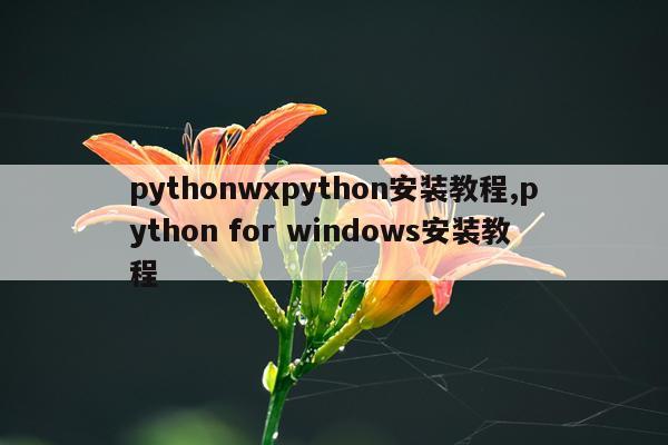 pythonwxpython安装教程,python for windows安装教程
