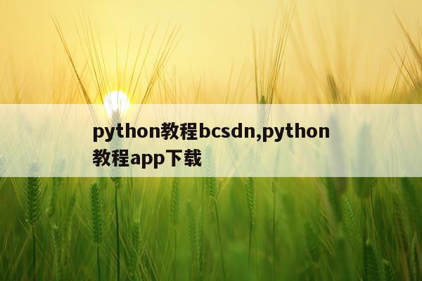 python教程bcsdn,python教程app下载