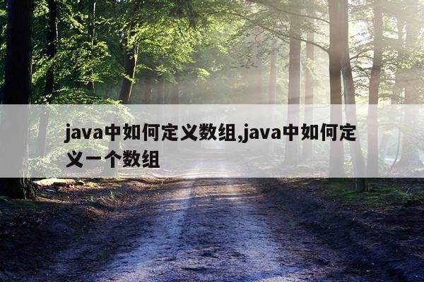 java中如何定义数组,java中如何定义一个数组
