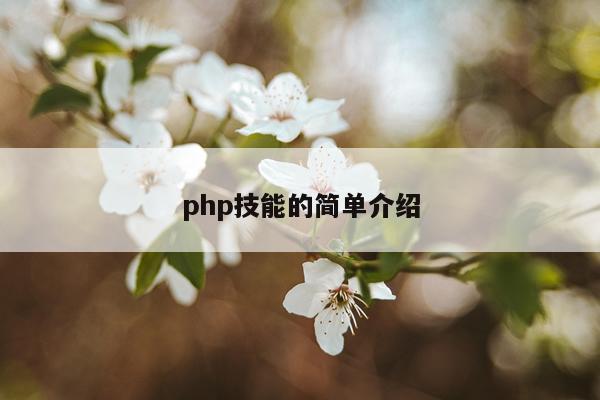 php技能的简单介绍