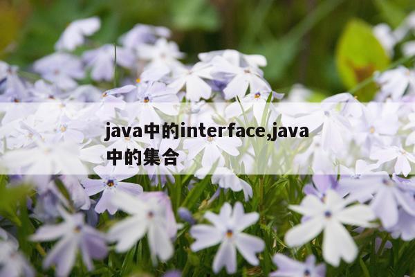 java中的interface,java中的集合