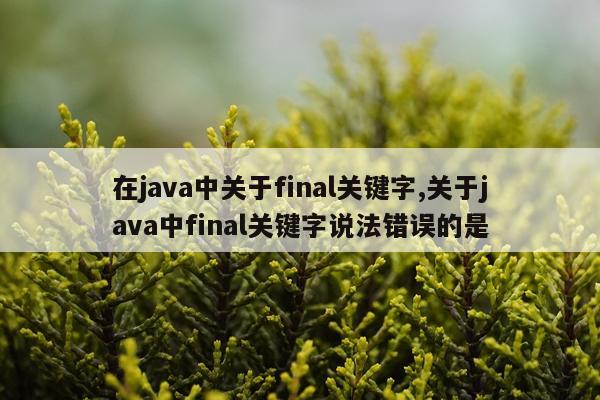 在java中关于final关键字,关于java中final关键字说法错误的是