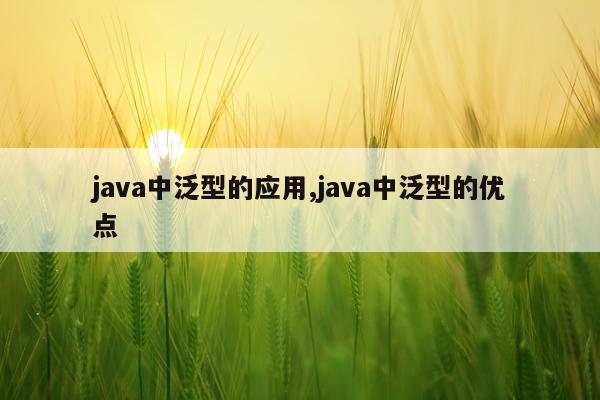 java中泛型的应用,java中泛型的优点