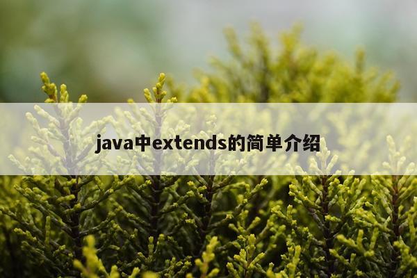 java中extends的简单介绍