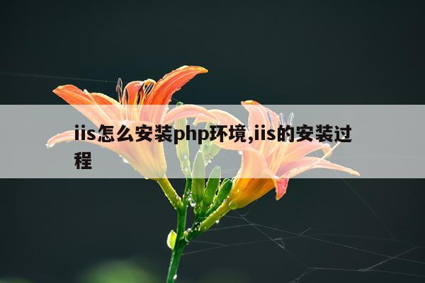 iis怎么安装php环境,iis的安装过程