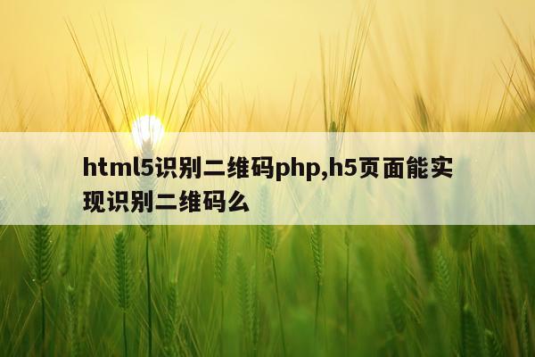 html5识别二维码php,h5页面能实现识别二维码么