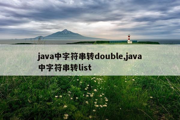 java中字符串转double,java中字符串转list
