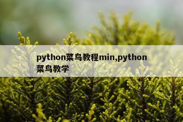 python菜鸟教程min,python菜鸟教学