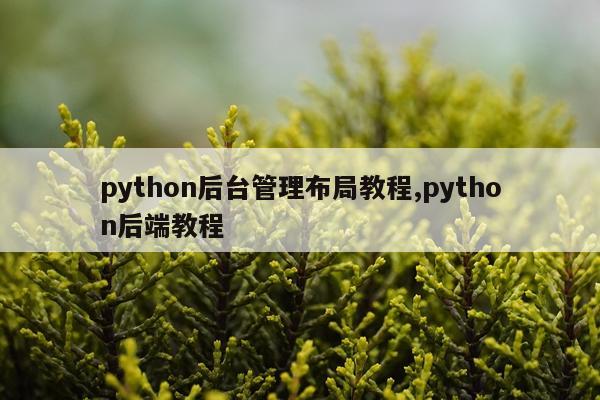 python后台管理布局教程,python后端教程