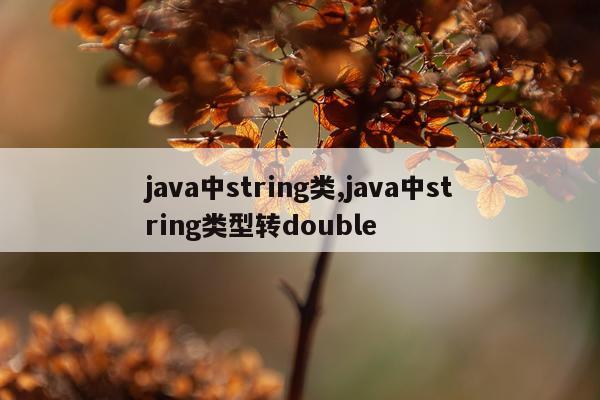 java中string类,java中string类型转double