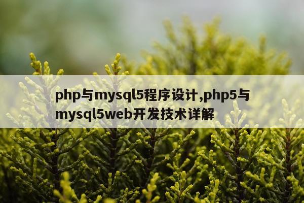 php与mysql5程序设计,php5与mysql5web开发技术详解