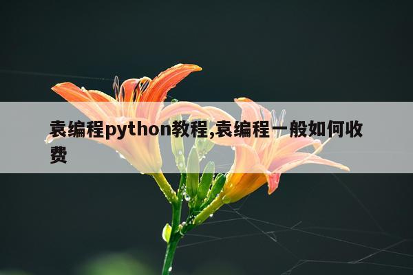 袁编程python教程,袁编程一般如何收费