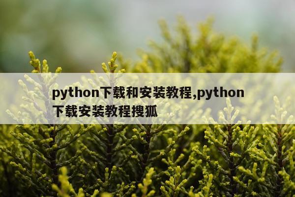 python下载和安装教程,python下载安装教程搜狐