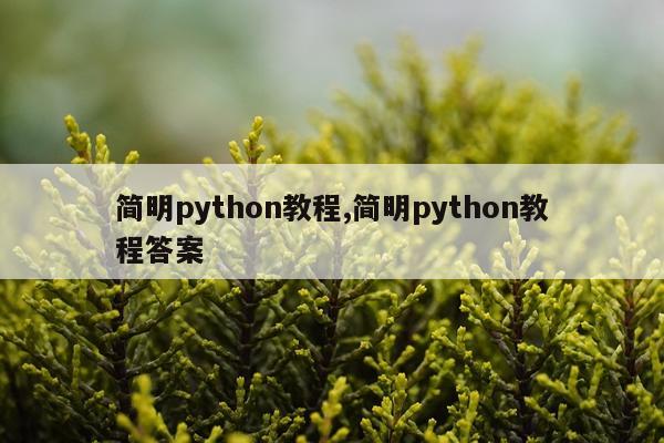 简明python教程,简明python教程答案