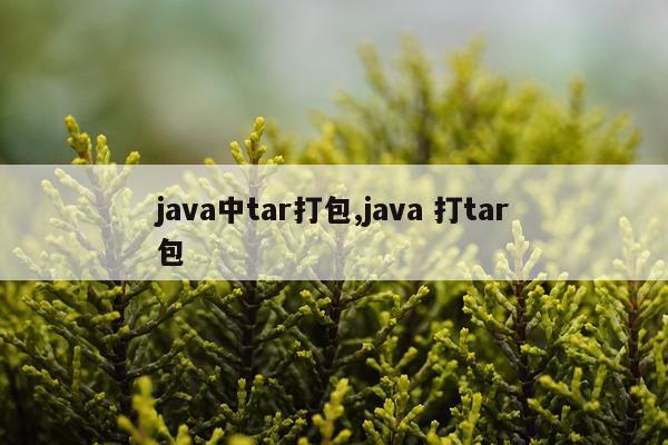java中tar打包,java 打tar包